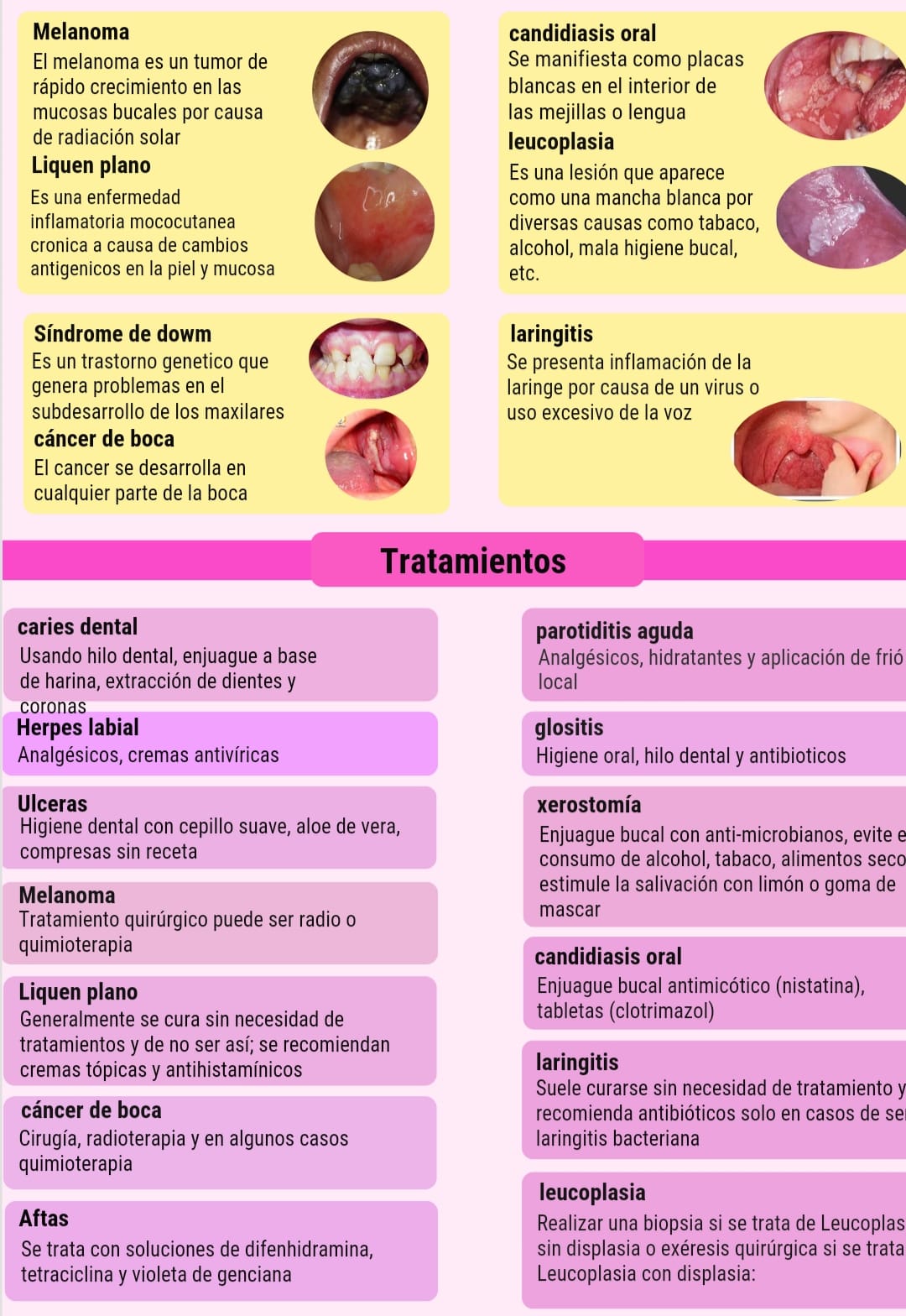 Fase Infografia Sobre Los Principales Componentes De La Cavidad Oral